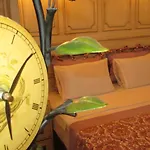 بيت ضيافة Losta Sahil Evi 2