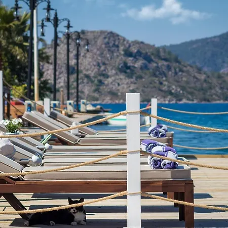 ゲストハウス Losta Sahil Evi 2 セリミエ