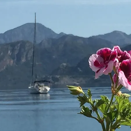 Losta Sahil Evi 2 セリミエ