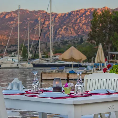 Losta Sahil Evi 2 セリミエ