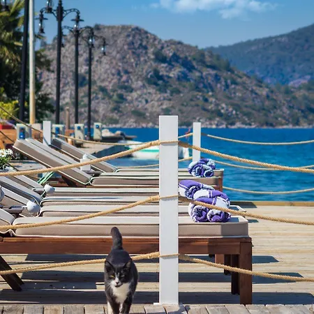 Гостевой дом Losta Sahil Evi 2