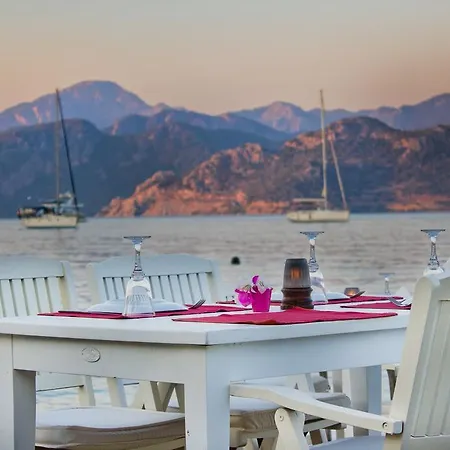 Гостевой дом Losta Sahil Evi 2